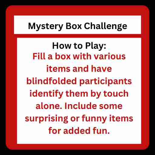 Mystery Box Challenge Surprise Game