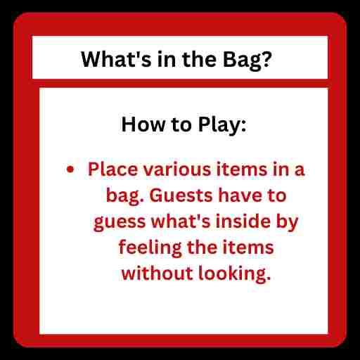 What's In The Bag