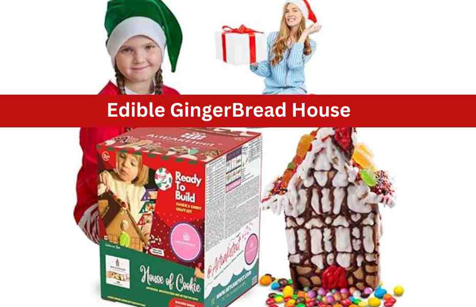 Gingerbread House kit